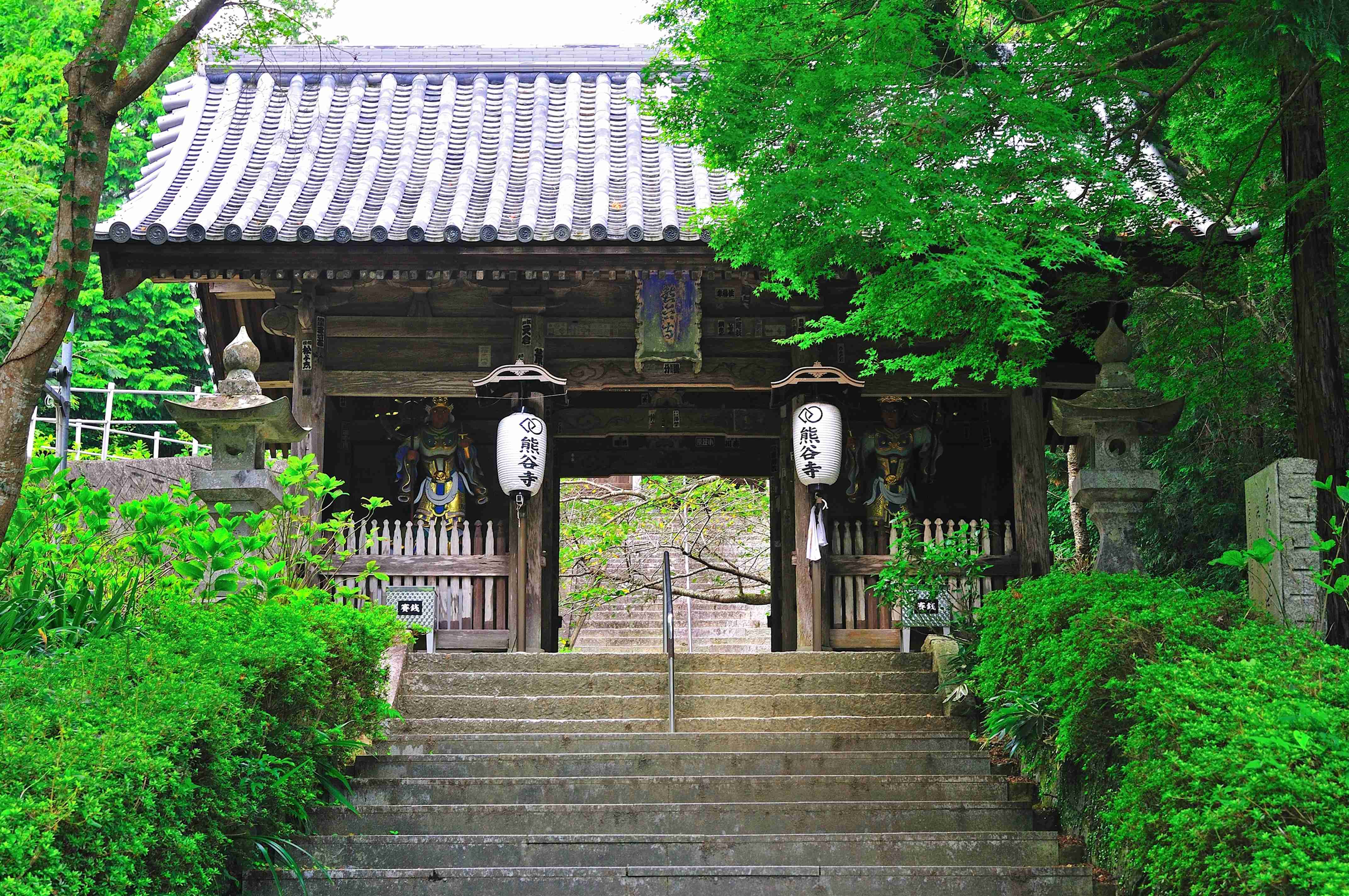 🏯 제8번 영지 구마타니지(쿠마다니지) 시코쿠 영장 이미지 1